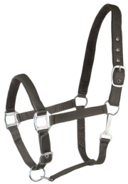 Gatsby Suede Padded Nylon Halter (Color: Dark Grey w/Dark Grey Padding, size: Horse)