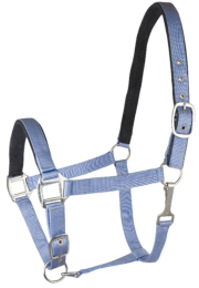 Gatsby Suede Padded Nylon Halter (Color: Lt Blue w/Navy Padding, size: Cob)