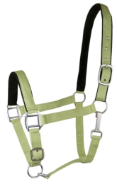 Gatsby Suede Padded Nylon Halter (Color: Apple Green w/Black Padding, size: Horse)