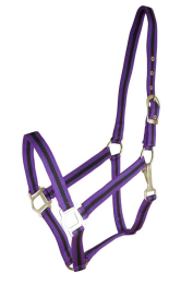 Gatsby Classic 2-Tone Nylon Halter With Snap (Color: Purple/Black, size: Cob)