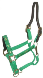 Gatsby Nylon Breakaway Halter with Horse Overlay & Snap (Color: Parrot Green, size: Horse)