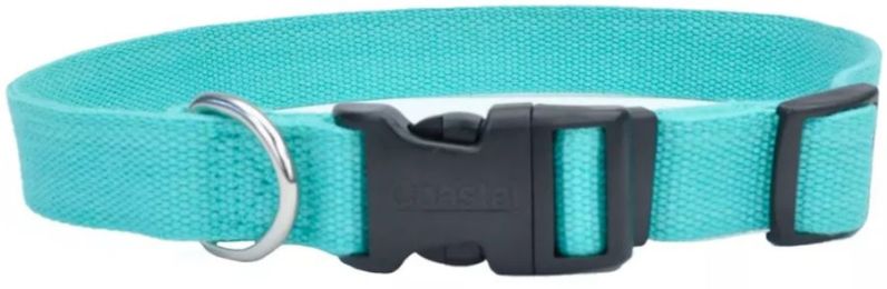 Coastal Pet New Earth Soy Adjustable Dog Collar Mint (size: 18-26"L x 1"W)