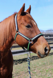 TuffRider Nylon Breakaway Halter & Lead Set (Color: Navy/Neon Green, size: Horse)