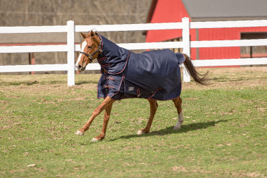 Tuffrider 1200 D Comfy Winter Medium Weight Turnout Blanket with Detachable Neck 200 Gms (Color: Navy, size: 72)