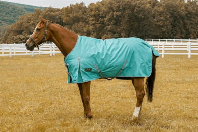 TuffRider 600D Comfy Waterproof Winter Blanket (Color: Turquoise, size: 69)