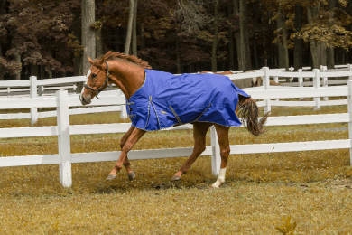 TuffRider 600D Comfy Waterproof Winter Blanket (Color: palace blue, size: 69)