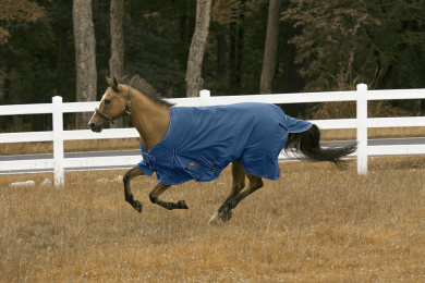 TuffRider 600D Comfy Waterproof Winter Blanket (Color: Royal, size: 69)