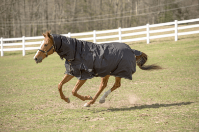 TUFFRIDER 600 D COMFY WINTER MEDIUM WEIGHT TURNOUT BLANKET with COMBO NECK 200 GMS (Color: Black, size: 69)