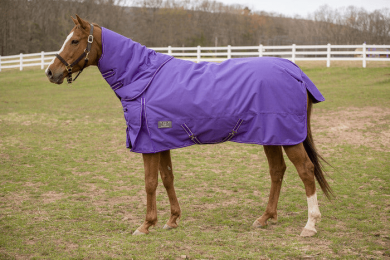 TUFFRIDER 600 D COMFY WINTER MEDIUM WEIGHT TURNOUT BLANKET with COMBO NECK 200 GMS (Color: Purple, size: 69)