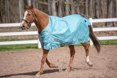 Tuffrider 600 D Comfy Standard Neck Turnout Sheet (Color: Turquoise, size: 69)