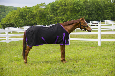 Tuffrider Kozy Komfort Stable Sheet (Color: Black, size: 72)