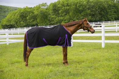 Tuffrider Kozy Komfort Stable Sheet (Color: Black, size: 84)