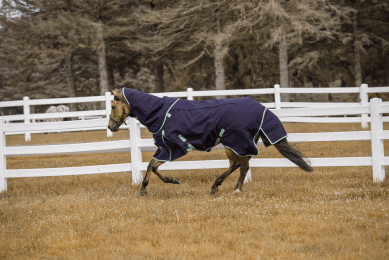 TuffRider 4-in-1 Waterproof All Season Blanket (Color: Navy, size: 81)