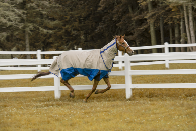 Tuffrider Bonum 1200D Ripstop Medium Weight Turnout Blanket With Combo Neck- 220 gms (Color: Ash/Classic Blue, size: 69)