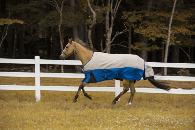 Tuffrider Bonum 1200D Ripstop Heavy Weight Turnout Blanket With Standard Neck (Color: Ash/Classic Blue, size: 78)