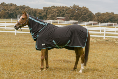 Tuffrider Cooler Sheet Combo (Color: Black, size: 69)