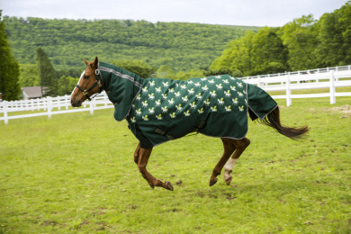 Tuffrider 1200D Ripstop 220 Gms Polyfill Horse Print Combo Neck Two Tone Horse Turnout Blanket (Color: Hunter, size: 66)