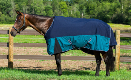 TuffRider Bonum 1200D Medium Weight Standard Neck 1200D Ballistic Fabric Turnout Blanket- 220gms (Color: Eclipse/Quetzel Green, size: 69)