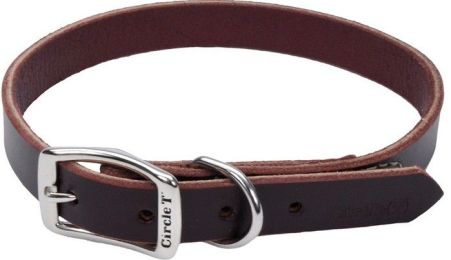 Circle T Latigo Leather Town Collar (size: 20" Long x 3/4" Wide)