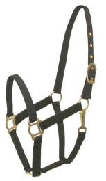 Gatsby Classic Nylon Halter With Snap (Color: Black, size: Horse)