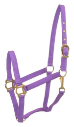 Gatsby Classic Nylon Halter With Snap (Color: Purple, size: Horse)