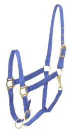 Gatsby Adjustable Nylon Halter With Snap (Color: Royal, size: Horse)