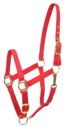 Gatsby Adjustable Nylon Halter With Snap (Color: Red, size: Horse)