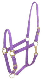 Gatsby Adjustable Nylon Halter With Snap (Color: Purple, size: Horse)