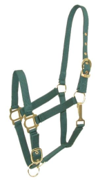 Gatsby Adjustable Nylon Halter With Snap (Color: Hunter, size: Cob)