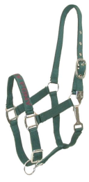 Gatsby I LOVE MY PONY Nylon Halter (Color: Hunter, size: Med-Lrg Pony)