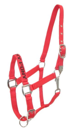 Gatsby I LOVE MY PONY Nylon Halter (Color: Red, size: Med-Lrg Pony)