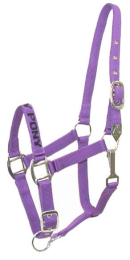 Gatsby I LOVE MY PONY Nylon Halter (Color: Purple, size: Med-Lrg Pony)