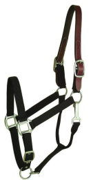 Gatsby Classic Nylon Breakaway Halter With Snap (Color: Black, size: Horse)