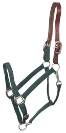 Gatsby Classic Nylon Breakaway Halter With Snap (Color: Hunter, size: Horse)