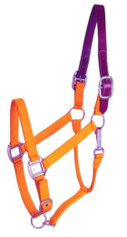 Gatsby Classic Nylon Breakaway Halter With Snap (Color: Orange, size: Horse)