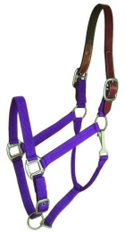 Gatsby Classic Nylon Breakaway Halter With Snap (Color: Purple, size: Horse)