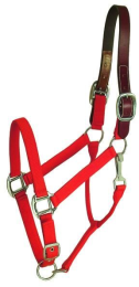 Gatsby Classic Nylon Breakaway Halter With Snap (Color: Red, size: Horse)