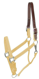 Gatsby Classic Nylon Breakaway Halter With Snap (Color: Green, size: Oversize)