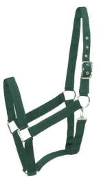 Gatsby Nylon Draft Halter With Snap (Color: Hunter, size: Draft)