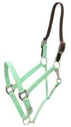 Gatsby Classic Nylon Breakaway Halter With Snap (Color: Mint Green, size: Cob)