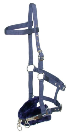 Gatsby Padded Lunging Caveson (Color: Navy, size: Horse)