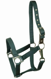 Gatsby Ultra Soft Nylon Safety Halter (Color: Hunter Green, size: Pony)