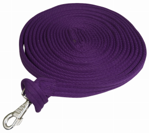 Gatsby Cushion Web Lunge Line With Loop Handle (Color: Purple, size: 25')