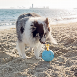 Paw Me! Treat Ball Dispenser (Color: Blue, size: )