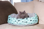 Reversible Round Pet Bed