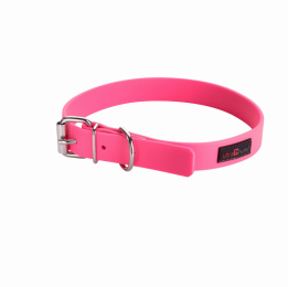 Play Regular Collar (Color: Pink, size: 16"x3/4")