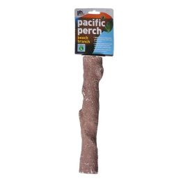 Prevue Pacific Perch - Beach Branch (size: Large - 11" Long - (Large Birds))