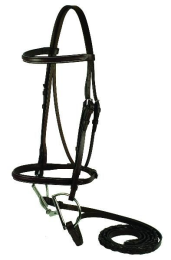 Gatsby Square Raised Bridle (Color: Havanna, size: Horse)