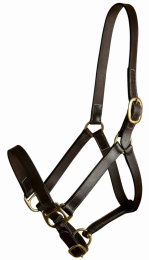 Gatsby Leather Adjustable Turnout Halter Without Snap (Color: Havana, size: Horse)