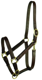 Gatsby Adjustable Turnout Halter With Snap (Color: Havana, size: Oversize)